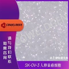 KMCC-001-0009SK-OV-3 人卵巢癌细胞
